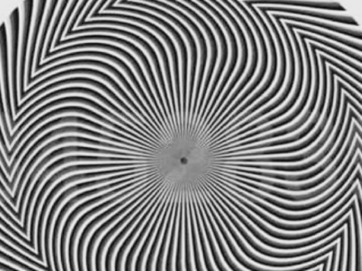 Vuelve loco a los internautas un acertijo visual que circula en redes sociales