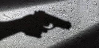 Asaltaron a una docente sanjuanina y un vecino la salvó 