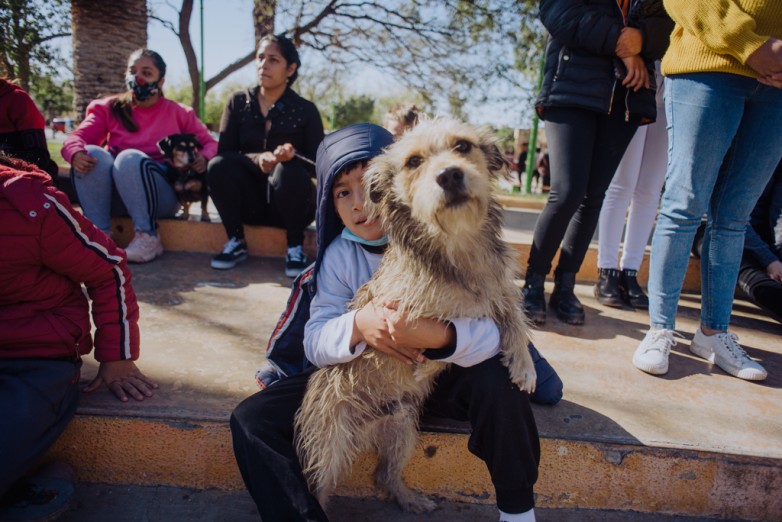 Programa Acompañame: el barrio Foeva recibirá el quirófano de esterilización de mascotas