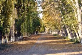 Otoño que se parece al verano: ¿Hasta cuándo durará?