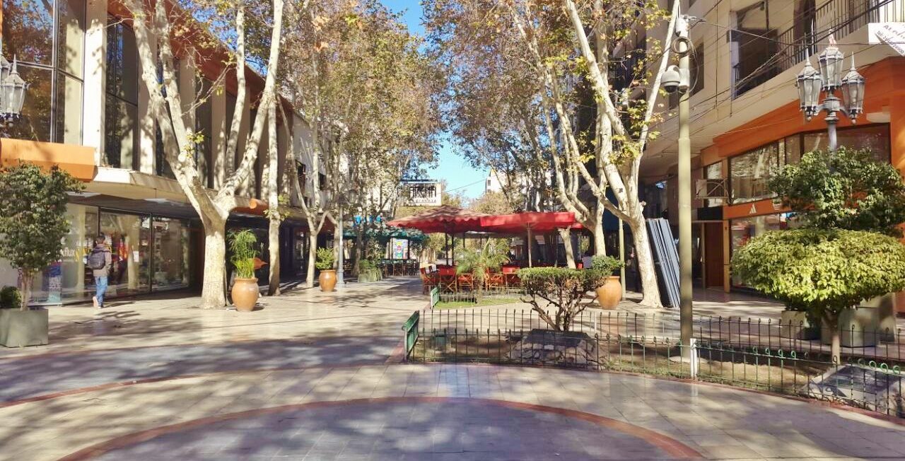 Cómo funcionan los servicios hoy jueves feriado