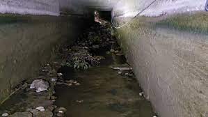 Cayeron a un canal y fueron encontrados muertos 