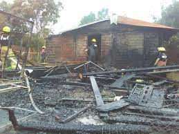 Quisieron espantar abejas con humo pero incendiaron una casa y dos autos