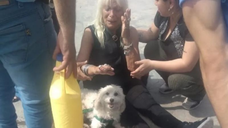 Casi muere: un pitbull atacó ferozmente a una mujer en una plaza de Capital