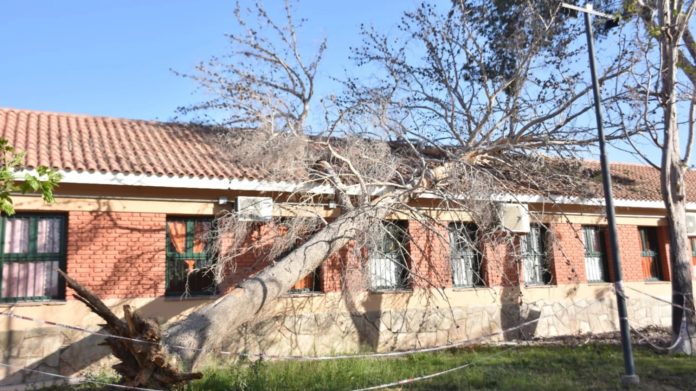 Un árbol de gran porte cayó sobre un edificio escolar 