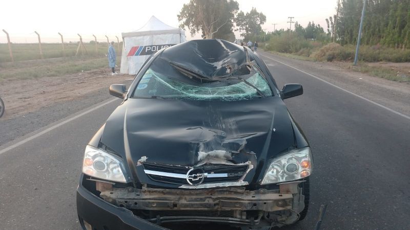 Condenaron al automovilista que mató a un ciclista en Las Chacritas