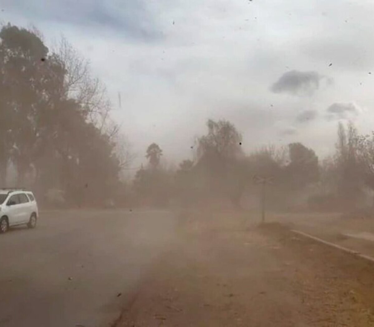 Rige un alerta meteorológica por viento Zonda