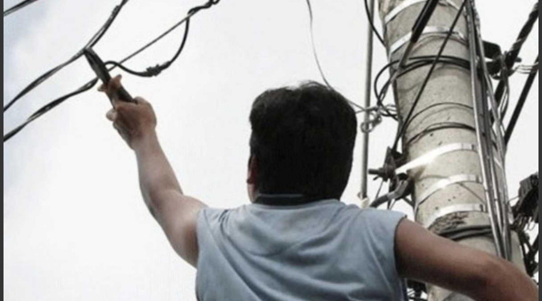 Cayó de un árbol mientras intentaba robar cables