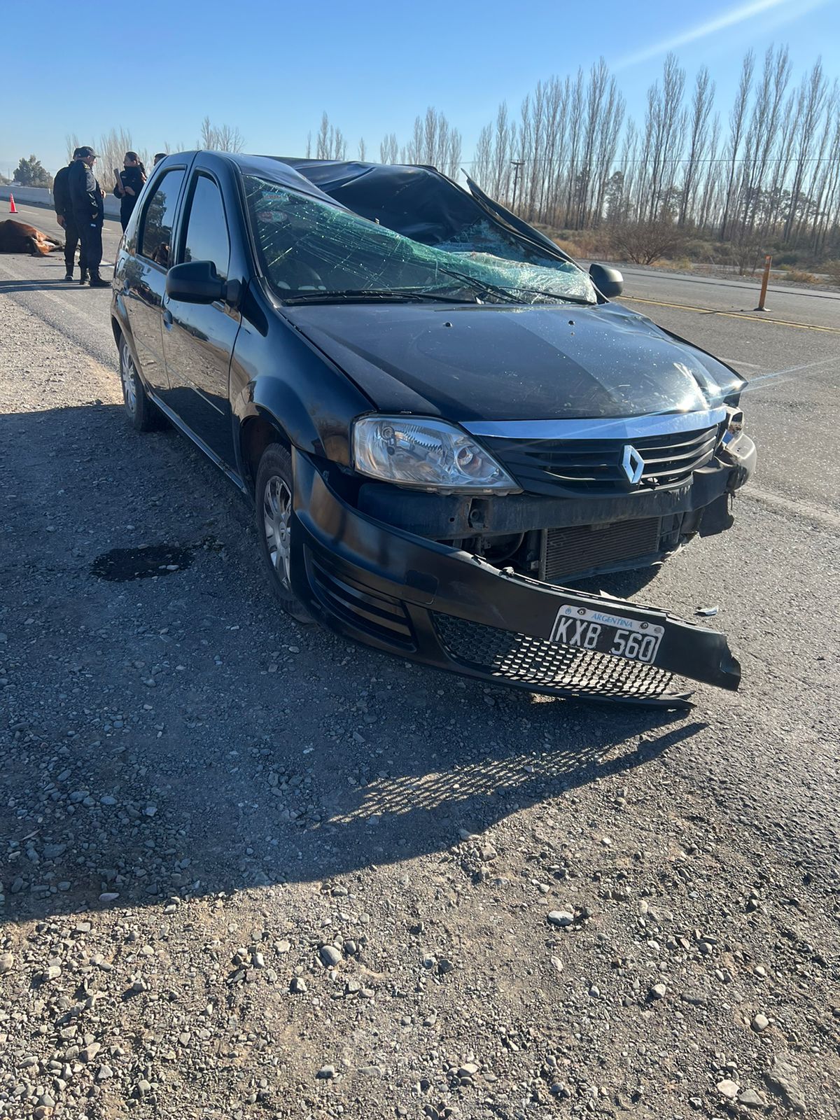 Tragedia en la Ruta 40: Muere una persona tras embestir a un caballo