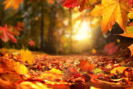 Otoño con máximas por encima de los 30 grados