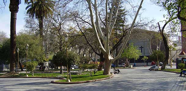 Una jornada ideal para celebrar el Día de las Infancias 