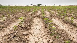 Tras la sequía, Argentina será uno de los países más afectados por fuertes lluvias