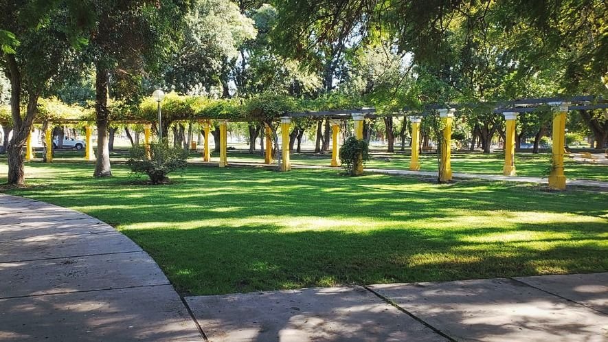 Alarma por los chicos que roban en zona del Parque