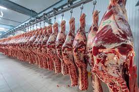 Ahora sacan mas carne del país, las ventas se recuperaron en un 25%