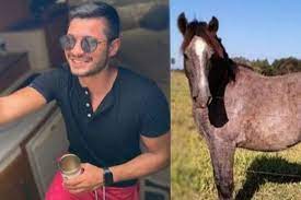 Se emborrachó, compró un caballo por internet y ahora no sabe donde meterlo