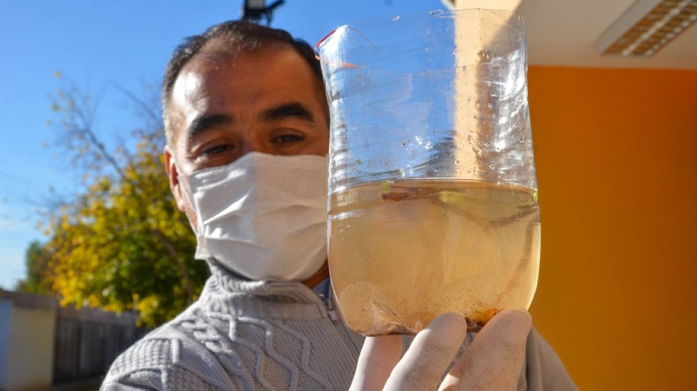 El cuarto caso de dengue importado en San Juan fue confirmado