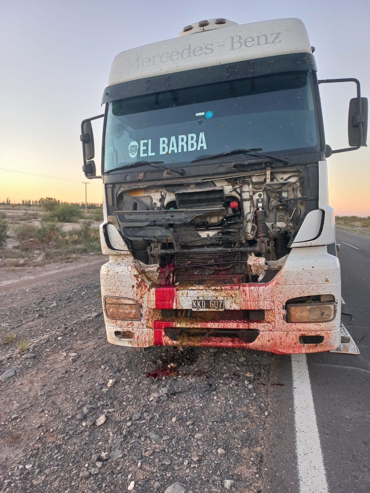 Un camionero embistió a un caballo y luego impactó con un auto