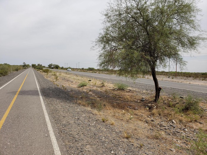 Una mujer quedó grave luego de volcar con su pareja en la ruta