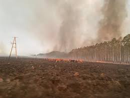 Corrientes: Aseguran que los focos de incendio disminuyeron a solo seis
